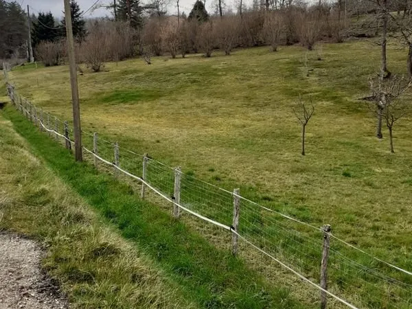 AV terrain à bâtir 2000m2