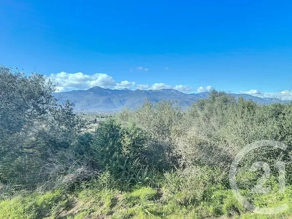 Terrain 804 m²