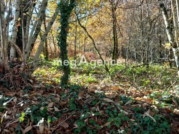 Terrain avec CU
