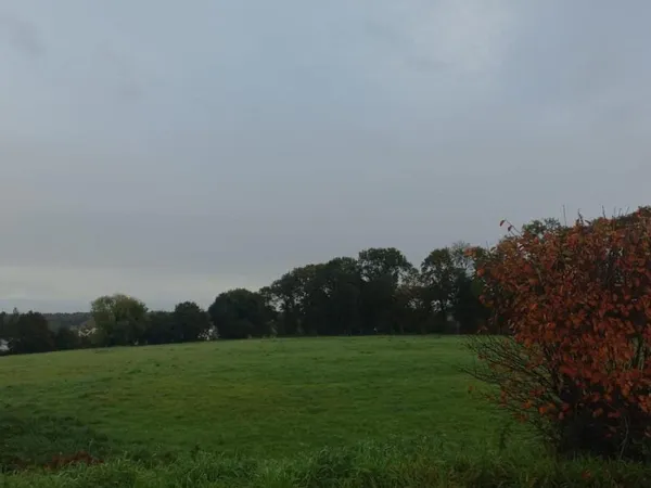 Terrain à bâtir