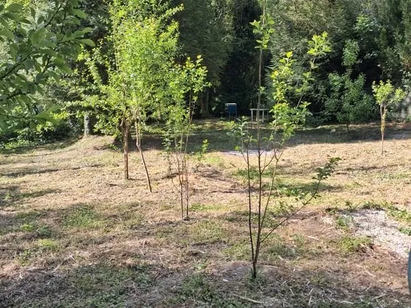 Terrain de loisir potager