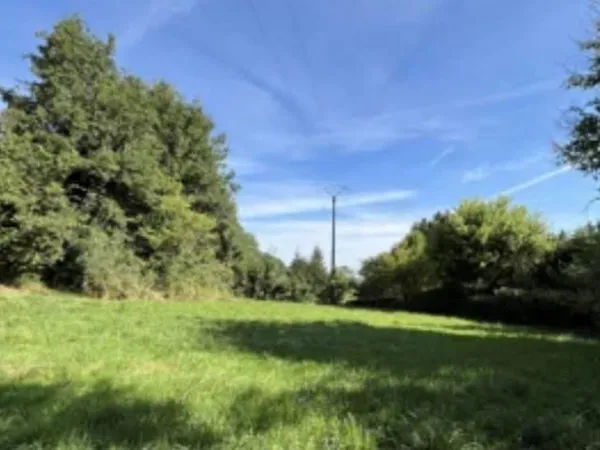 Terrain 2900 m²