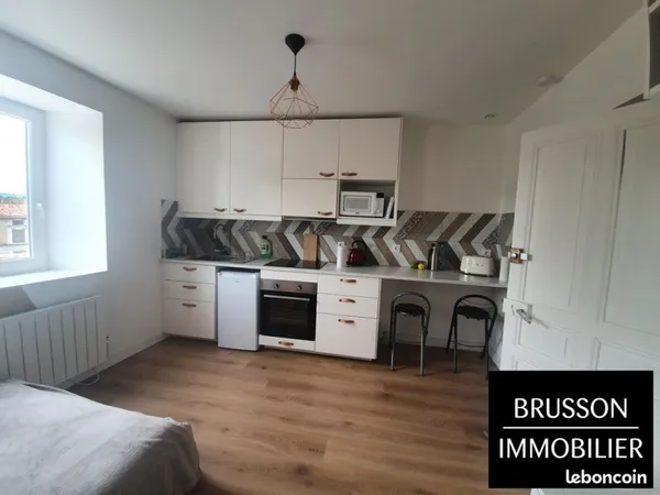 Appartement 1 pièce 20 m²