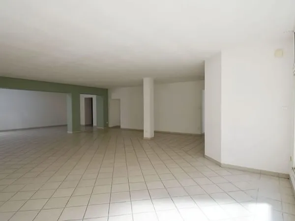 Local 5 pièces 287 m²