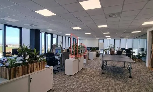 Bureau 306 m²