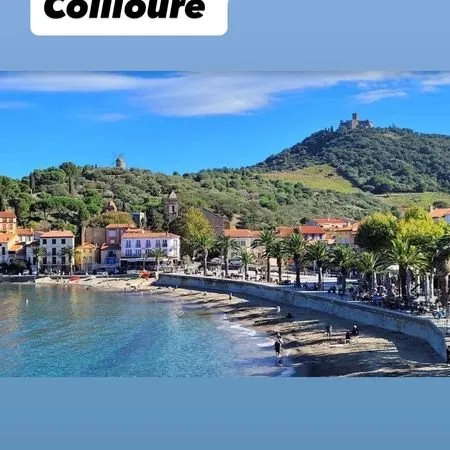 Local commercial centre-ville de Collioure
