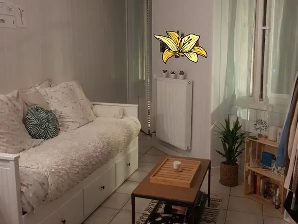 Studio 1 pièce 15 m²