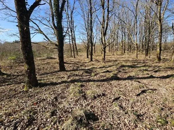 Terrain non constructible 7220 m²