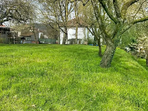 Maison individuelle avec grand jardin arboré et fort potenti