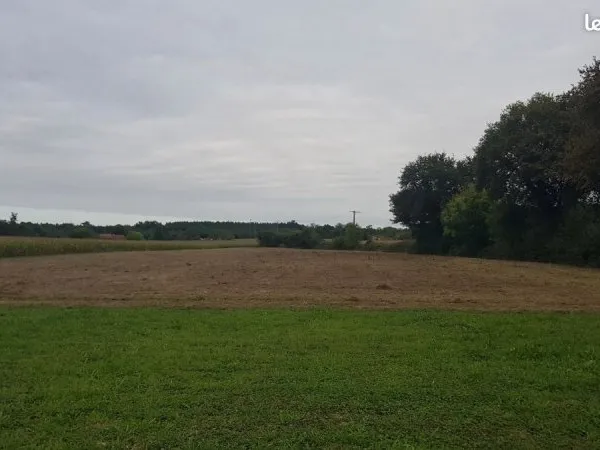 Terrain de plus d'un hectare