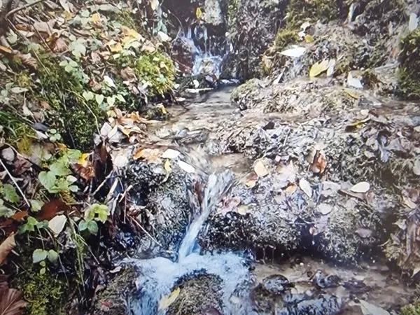 Terrain à bâtir avec CU valide . Viabilités proches