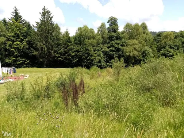 Terrain 1000 m²