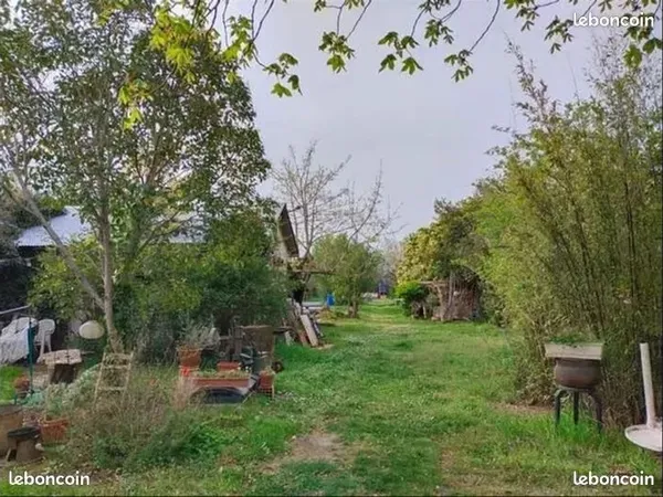 Un.e coloc pour la Pampa