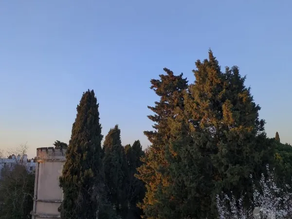 Superbe T3 lumineux traversant très bien situé rare