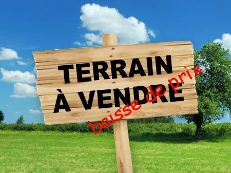 Terrain constructible