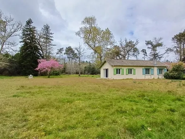 Maison de plain pied CESTAS - 4 pièces 89 m2 sur 1 Hectare ref 2236