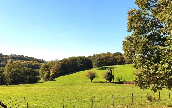 Terrain 2500 m²