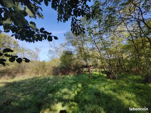 TERRAIN de 10 085 m² à VEUZAIN-SUR-LOIRE (41150)