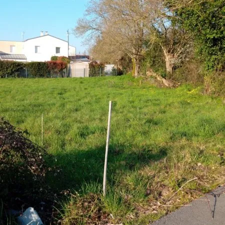Terrain 550 m²