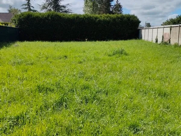 Terrain constructible