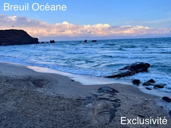 EN EXCLUSIVITÉ - Studio Cabine 28 m² avec port et mer à proximité immédiate - Île des Pêcheurs LE CA