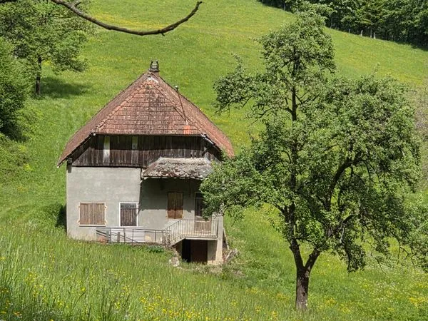 Maison+terrain