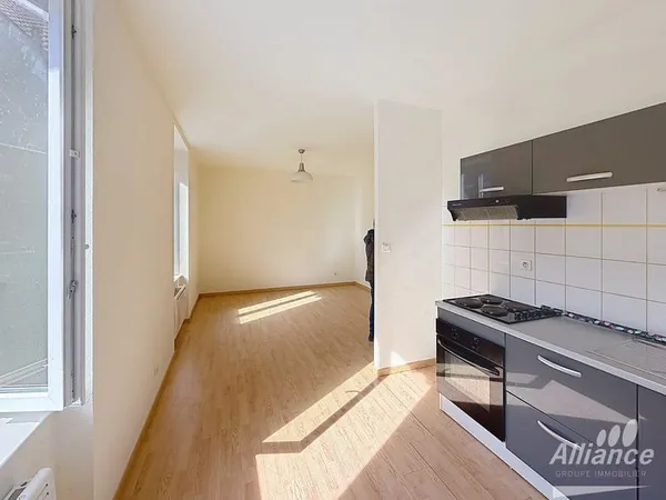 Appartement meublé de 2 chambres au centre de belfort avec e