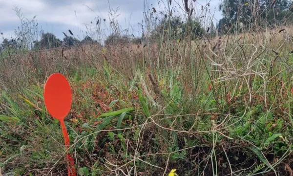 Réalisez librement votre maison, Terrain au FENOUILLER 366 m²