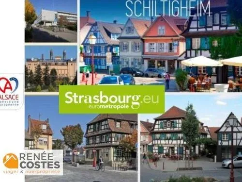 Vente en nue propriété - F76 ans - SCHILTIGHEIM (67300)