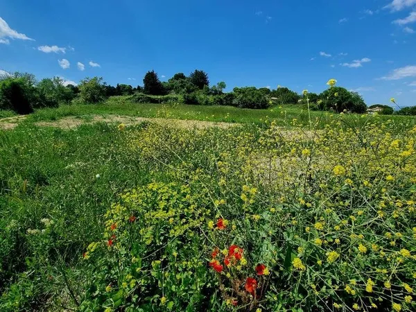 Terrain à bâtir Vente Montagnac  663m² 185000€
