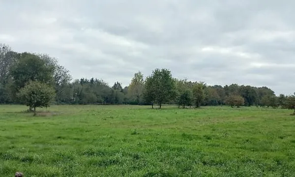 Terrain à bâtir à Ménesplet (24700)