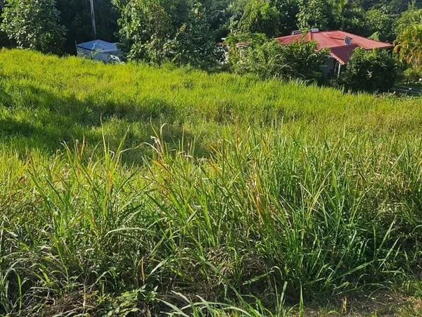 Terrain 800 m²