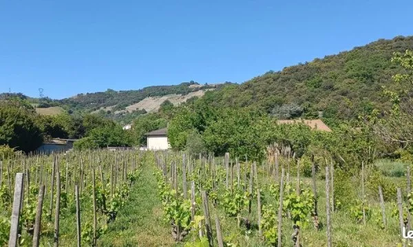 Terrain 520 m² Cornas