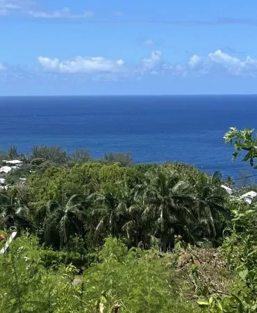 ? A VENDRE TERRAIN CONSTRUCTIBLE - MANAPANY