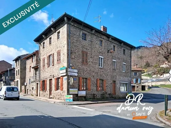 Maison de ville idéale grande famille ou investisseurs.