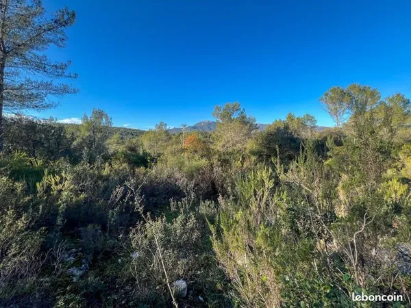 Magnifique terrain de loisirs 1050 m² à Roquefort-les-Pins - Accès véhicule - Ensoleillé - Calme abs