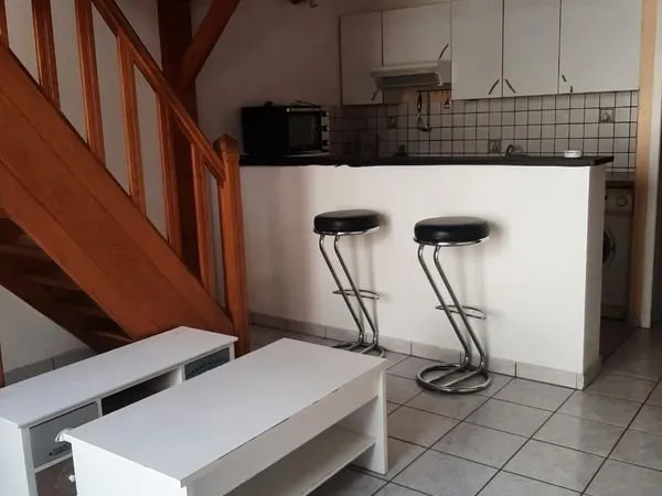 Loft duplex Nancy gare Terrasse et parking