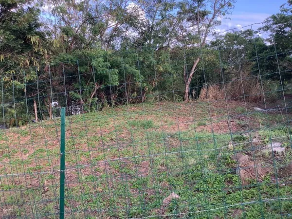Terrain de 1 100 m2 à RAVINE TOUZA