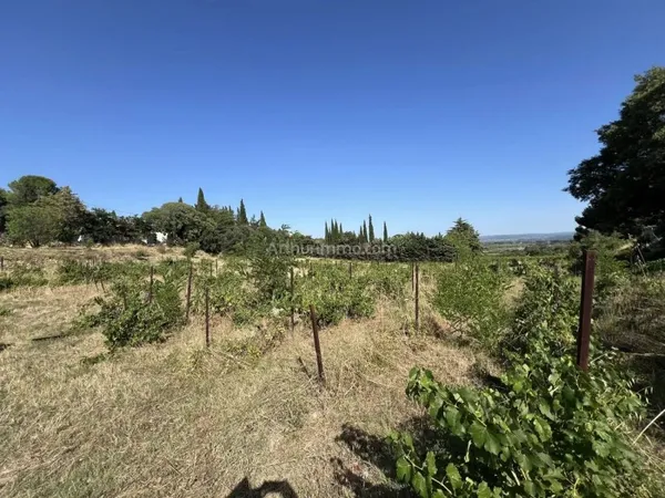Terrain 1000 m²