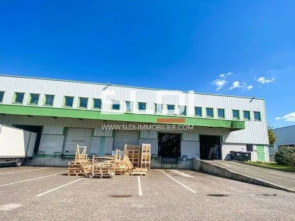 Local d'activité 1113 m²