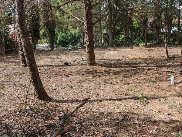 Vend 4 grandes parcelles constructibles, arborées et particulièrement bien exposées