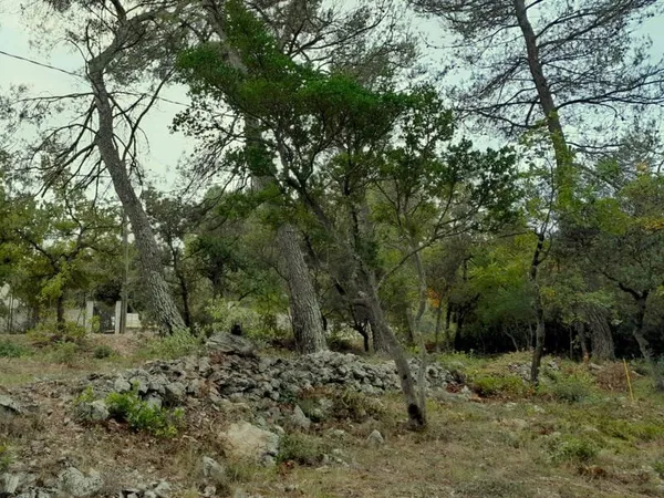Terrain 700 m²