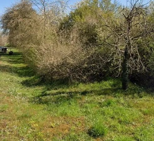 Terrain illfurth faire offre