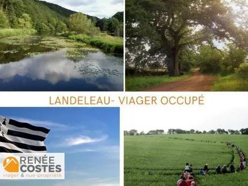 Viager occupé - F82 ans - CARHAIX PLOUGUER (29270)