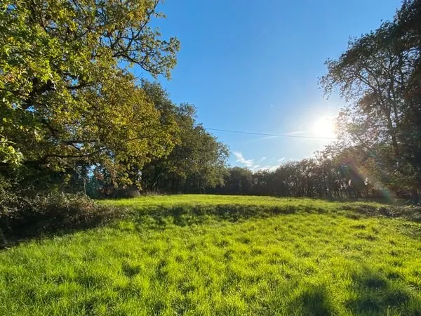 Vente terrain à bâtir (82160)