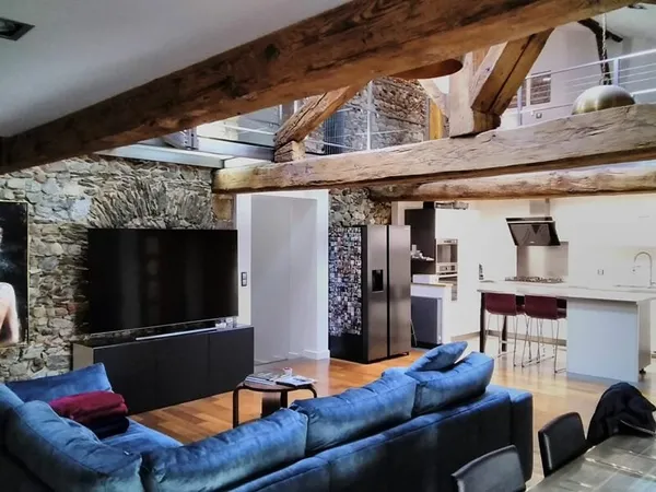 Au coeur du centre de VIENNE très bel Appartement ESPRIT LOFT de 207 m²