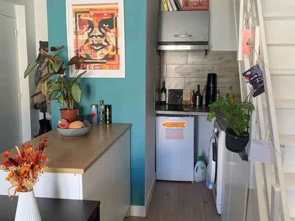 Duplex 1 pièce 24 m²