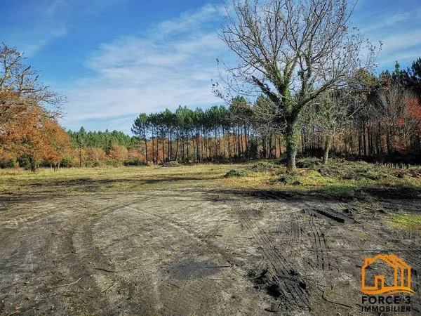 Terrain constructible - 1038 m² - Pontenx-les-Forges (40200