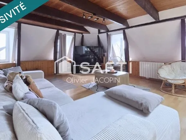 Appartement lumineux avec trois chambres