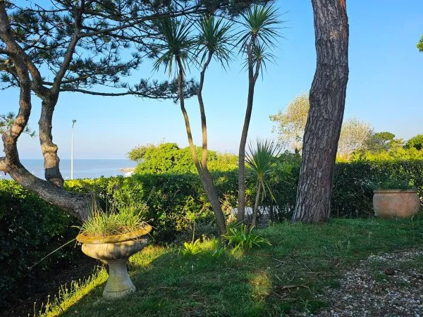 MAISON VUE MER